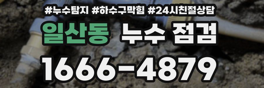 일산동 누수 점검