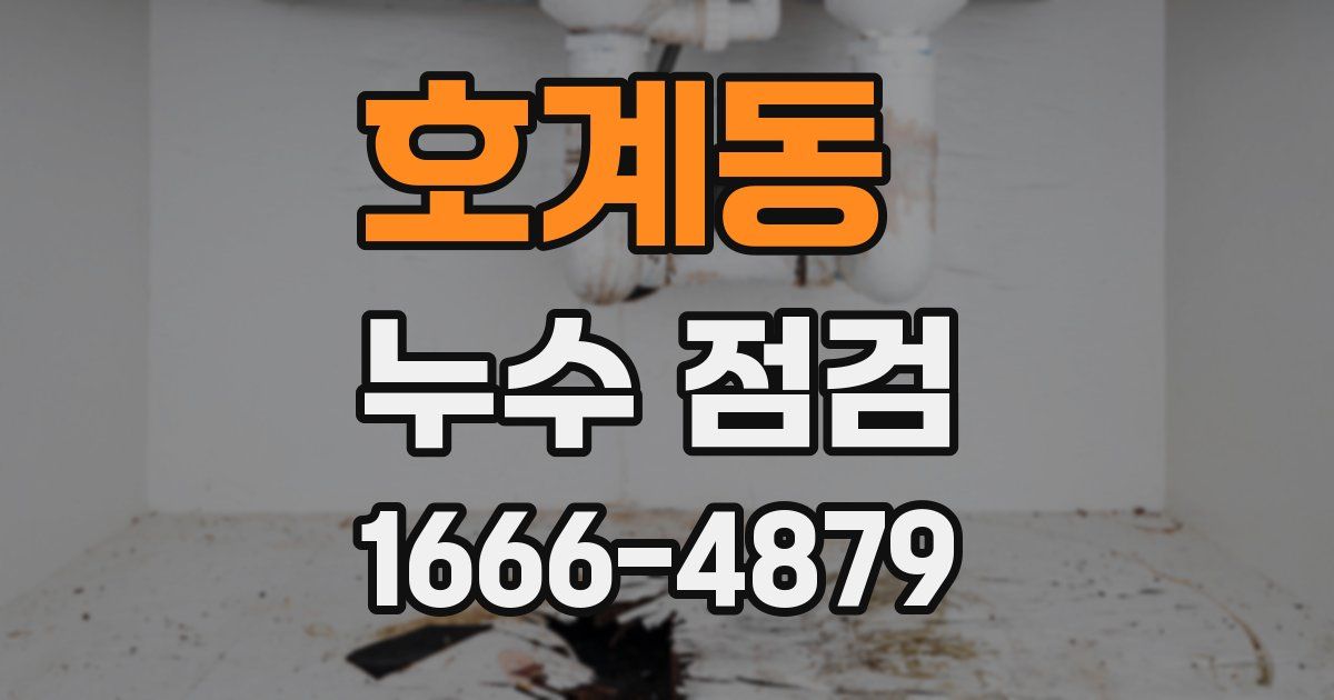 호계동 누수 점검