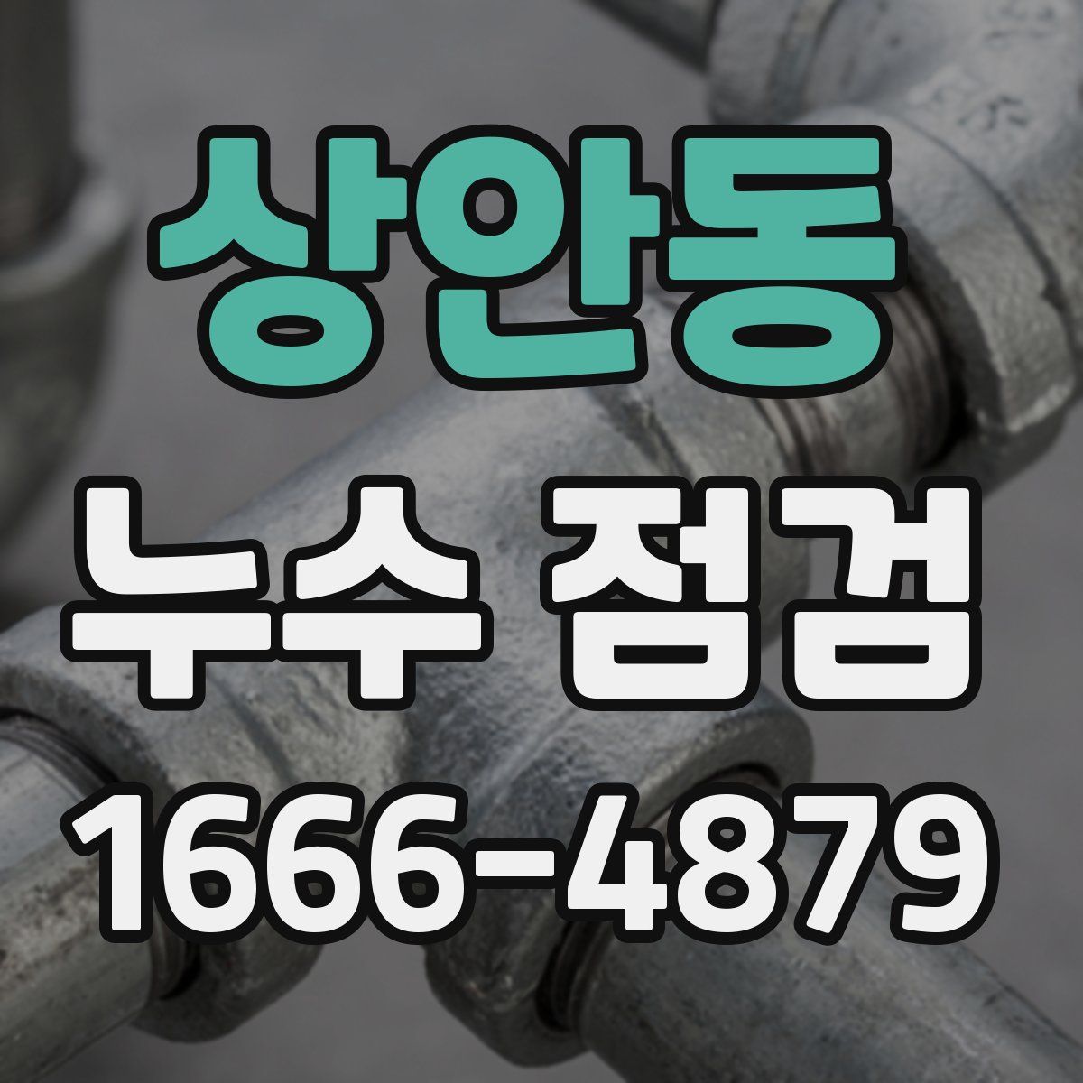 상안동 누수 점검