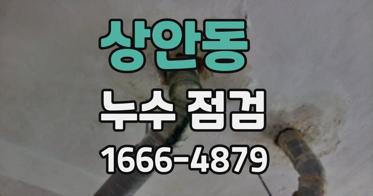 상안동 누수 점검