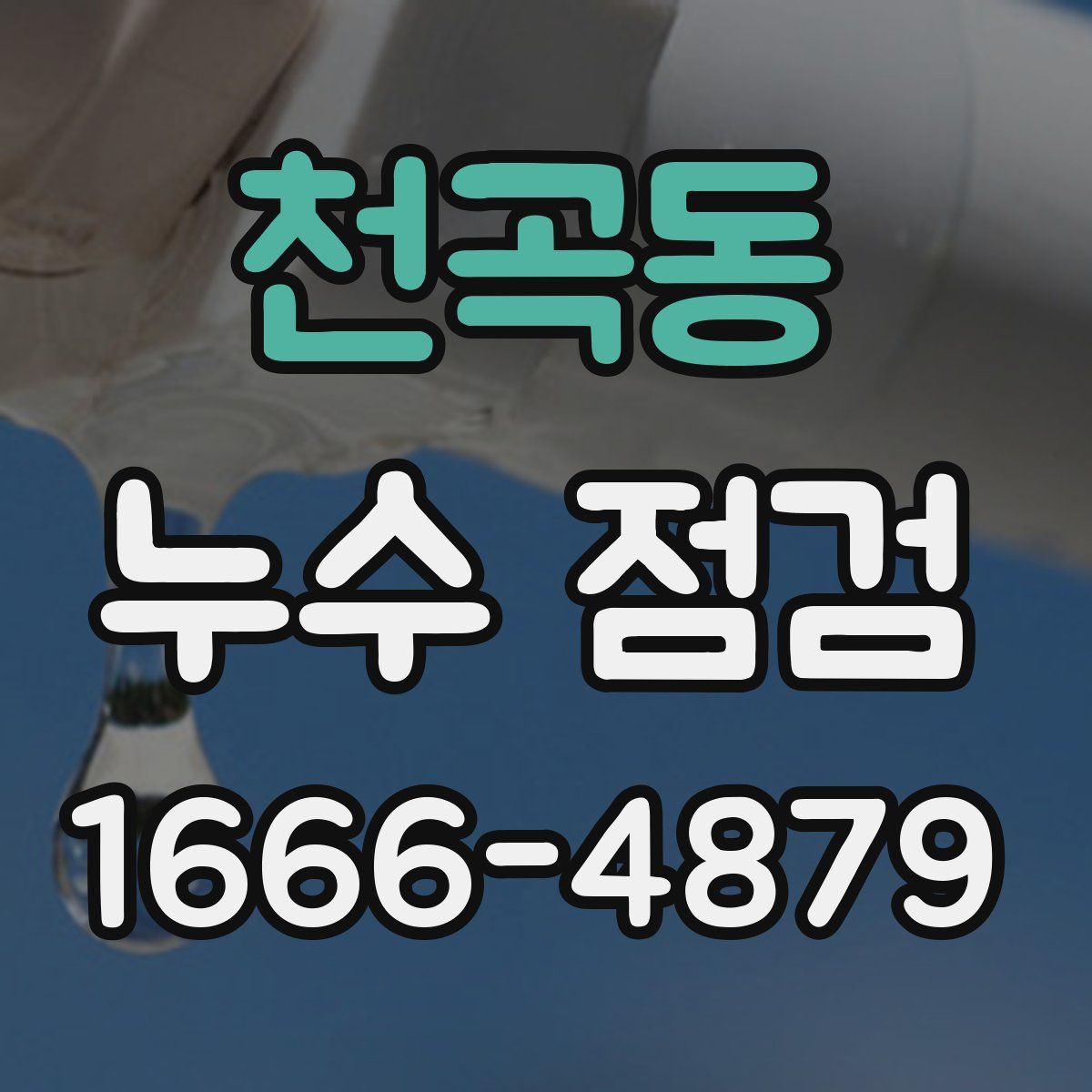 천곡동 누수 점검