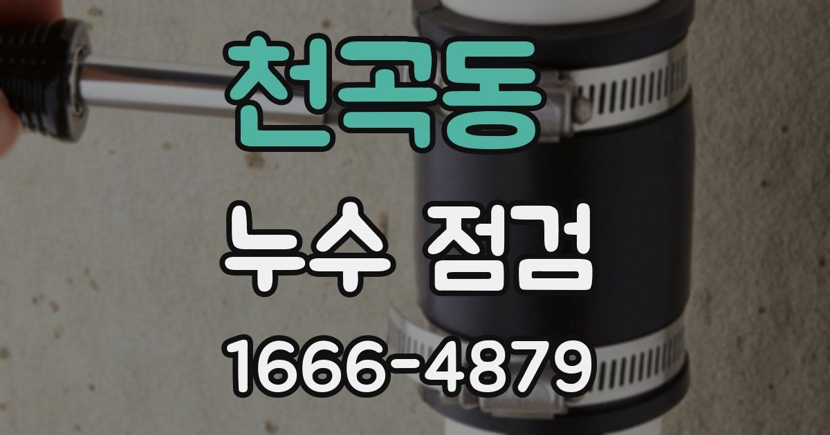 천곡동 누수 점검