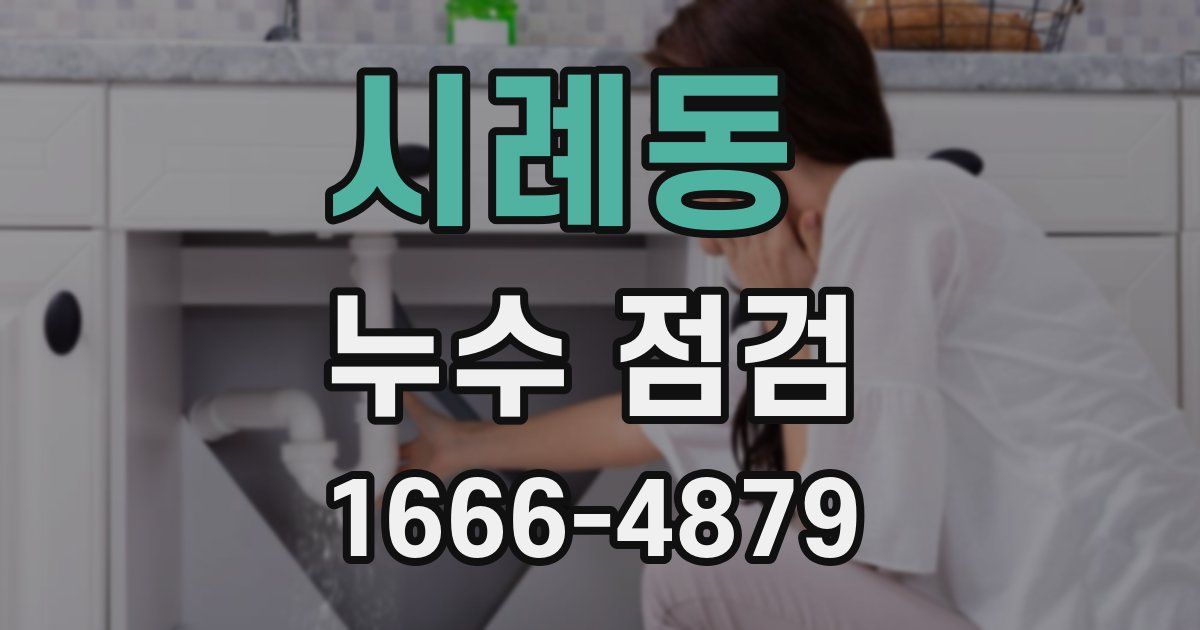 시례동 누수 점검