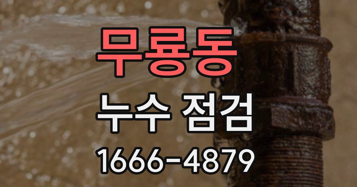 무룡동 누수 점검