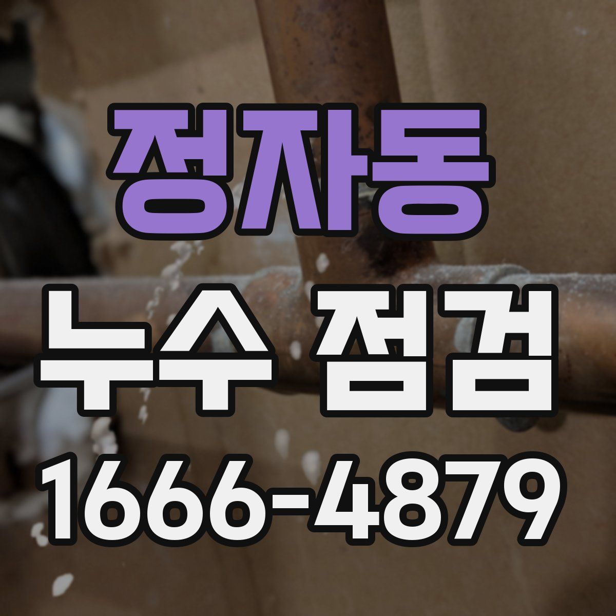 정자동 누수 점검