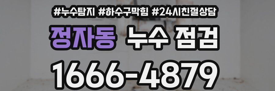 정자동 누수 점검