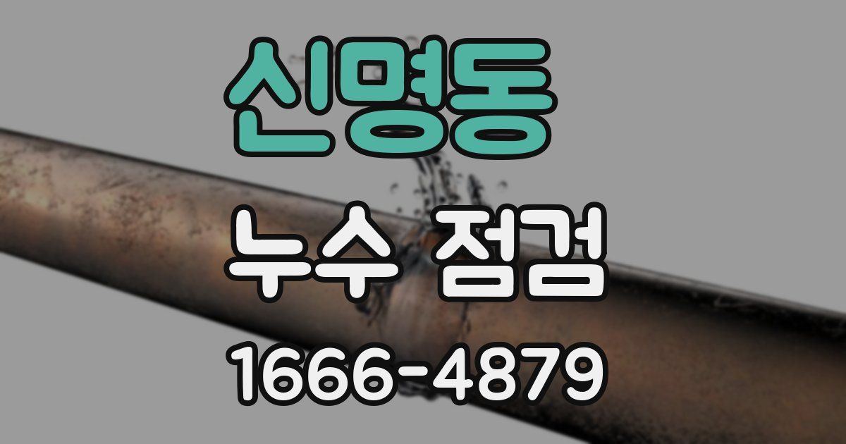 신명동 누수 점검