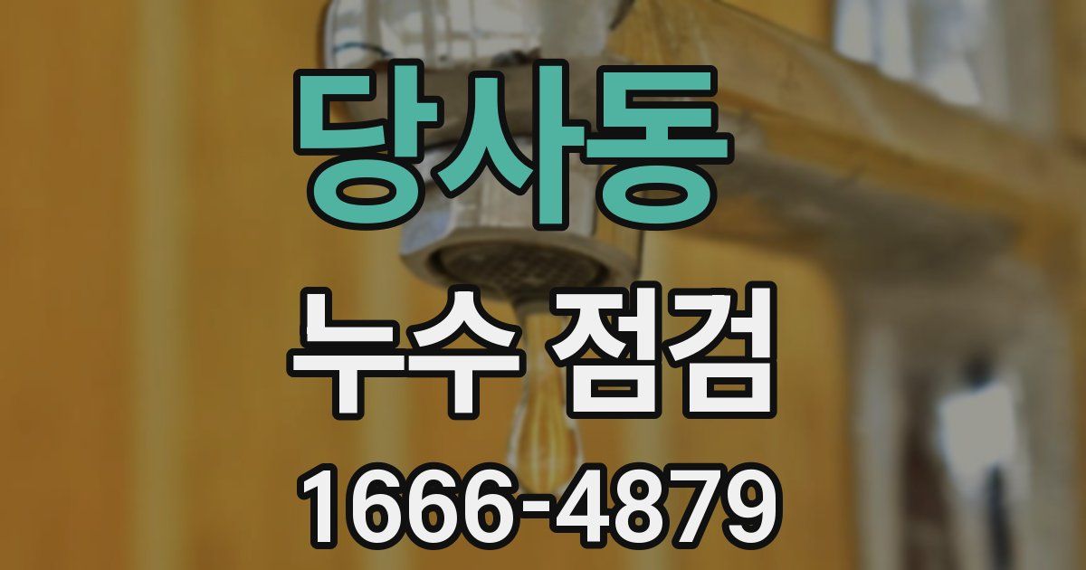 당사동 누수 점검