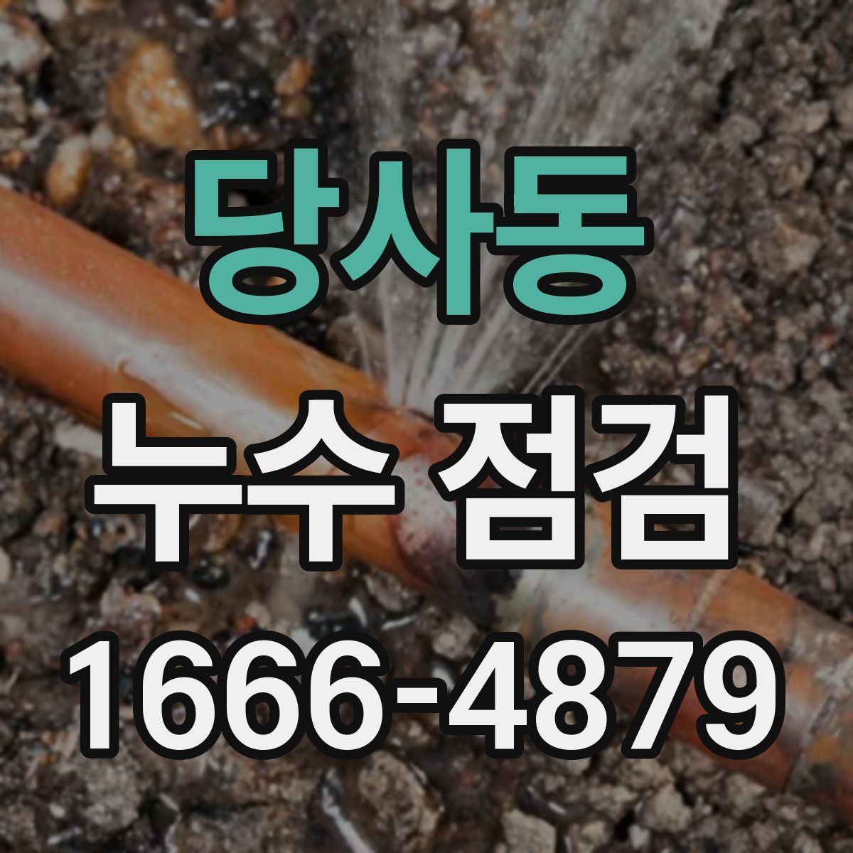 당사동 누수 점검