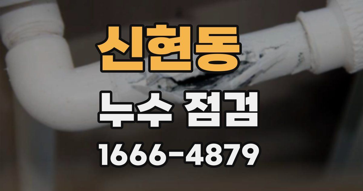신현동 누수 점검