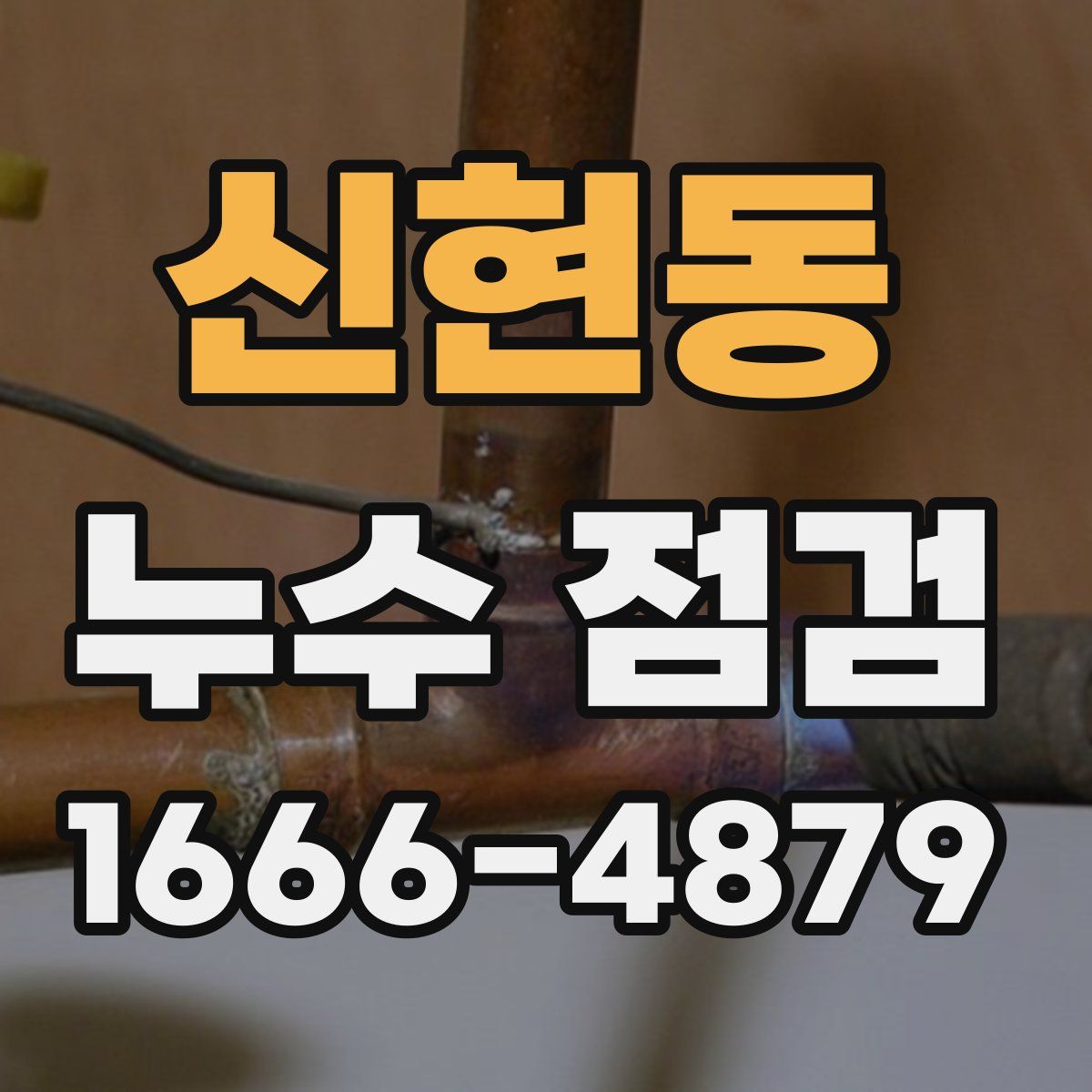 신현동 누수 점검