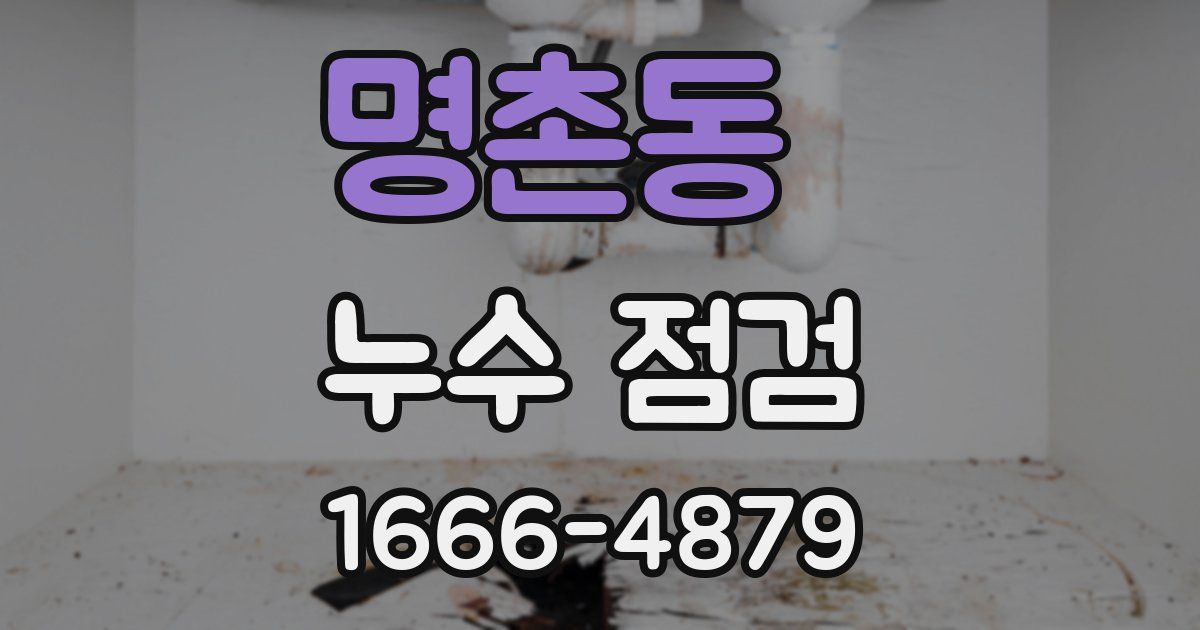 명촌동 누수 점검