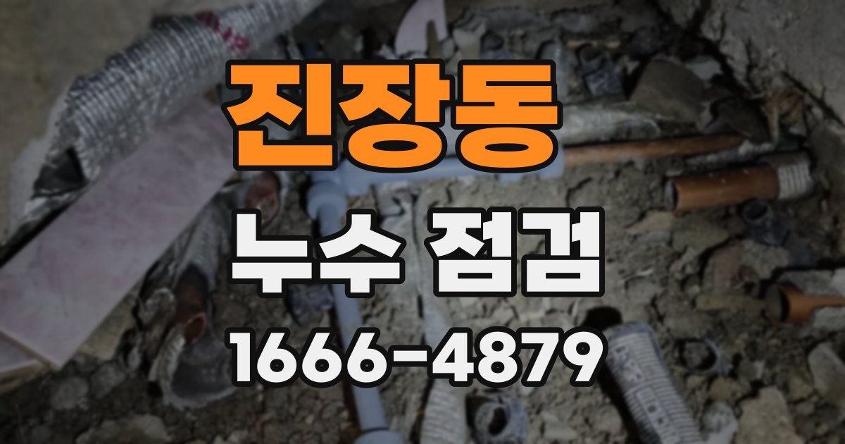 진장동 누수 점검