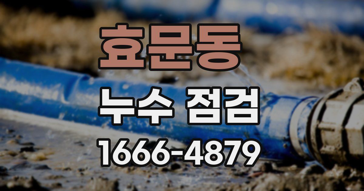 효문동 누수 점검
