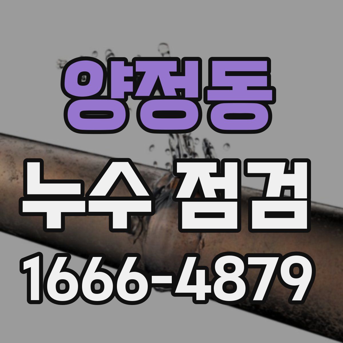양정동 누수 점검
