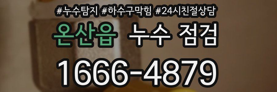 온산읍 누수 점검