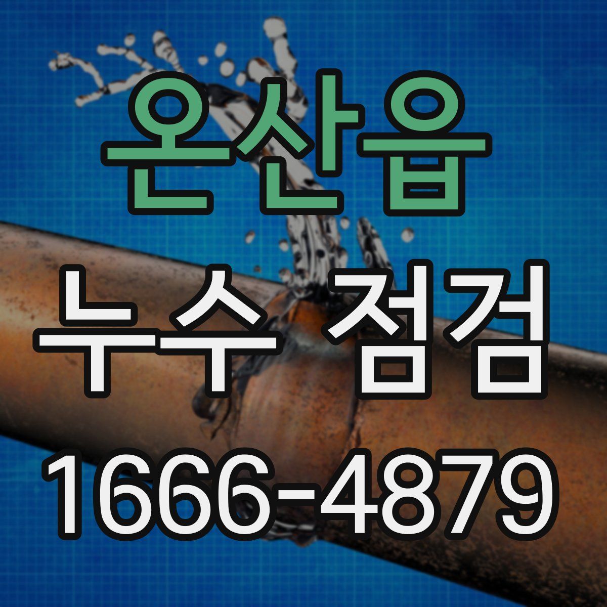 온산읍 누수 점검