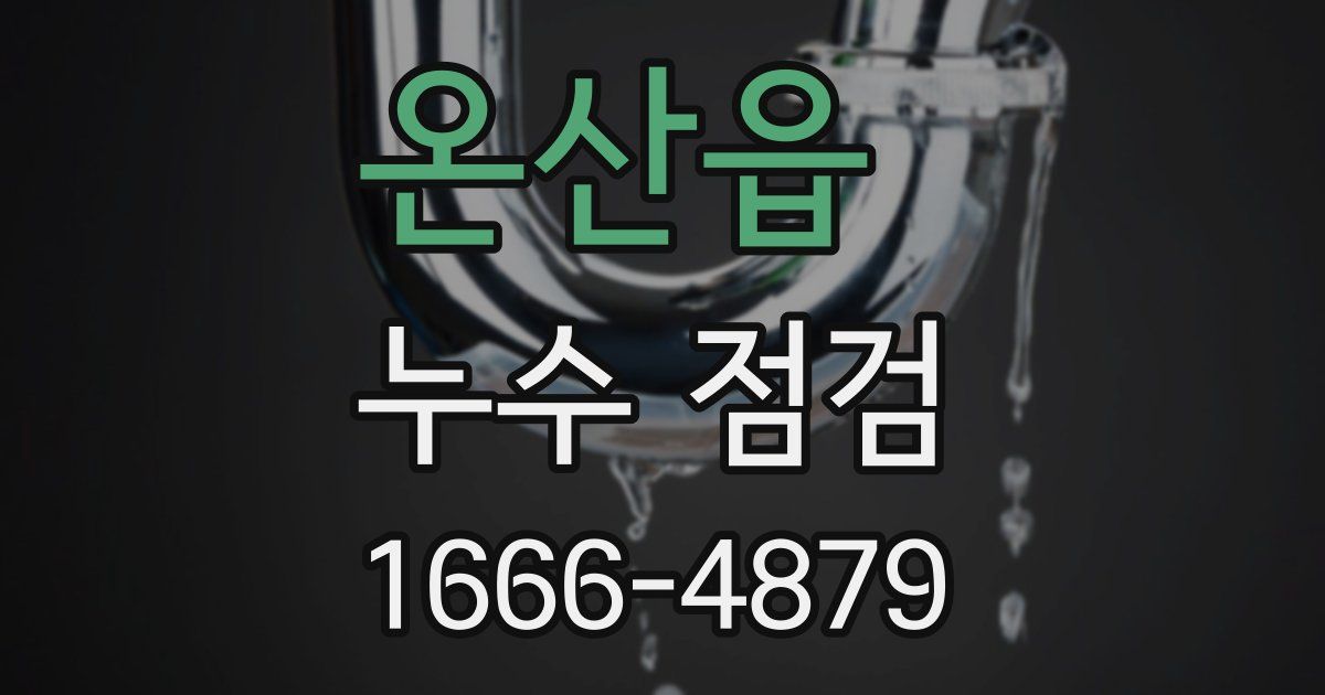 온산읍 누수 점검
