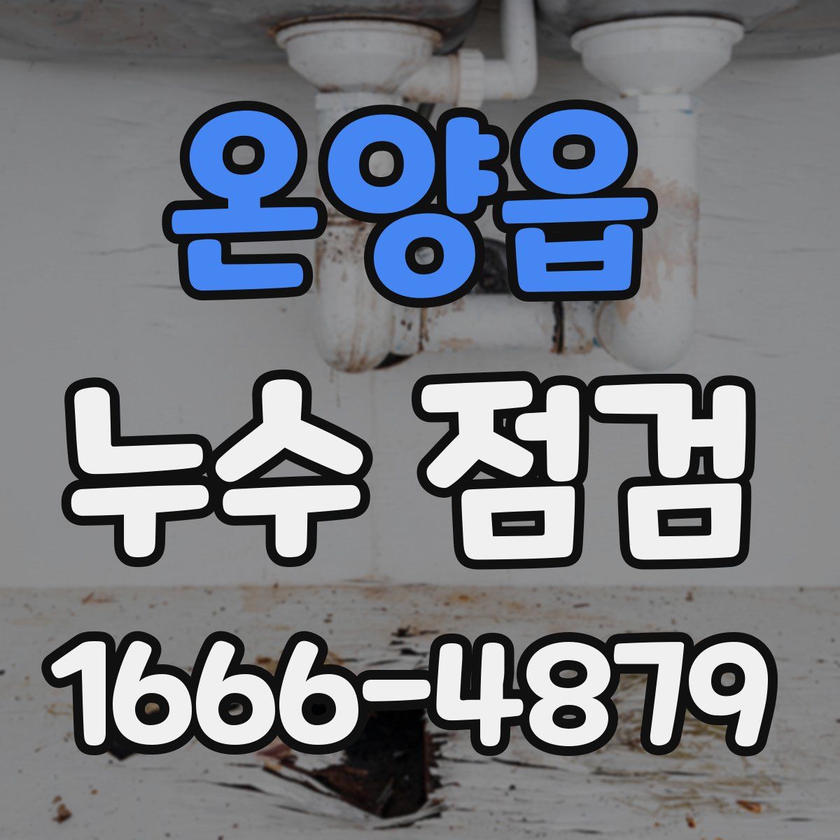 온양읍 누수 점검