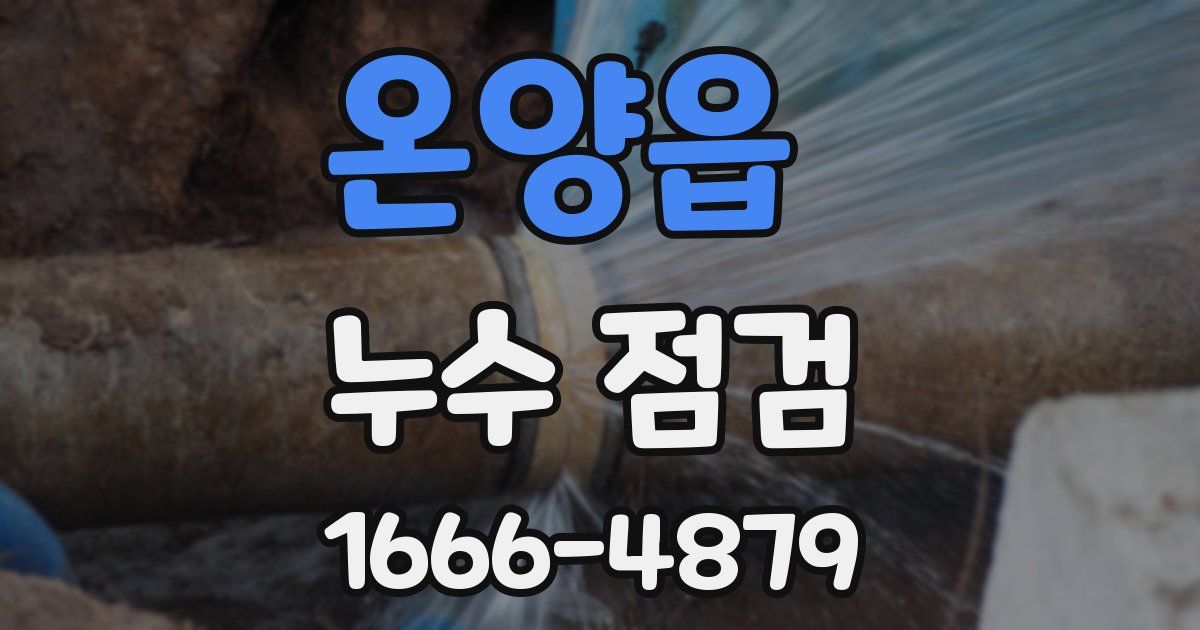 온양읍 누수 점검