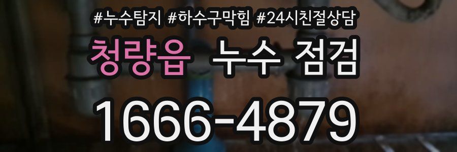 청량읍 누수 점검