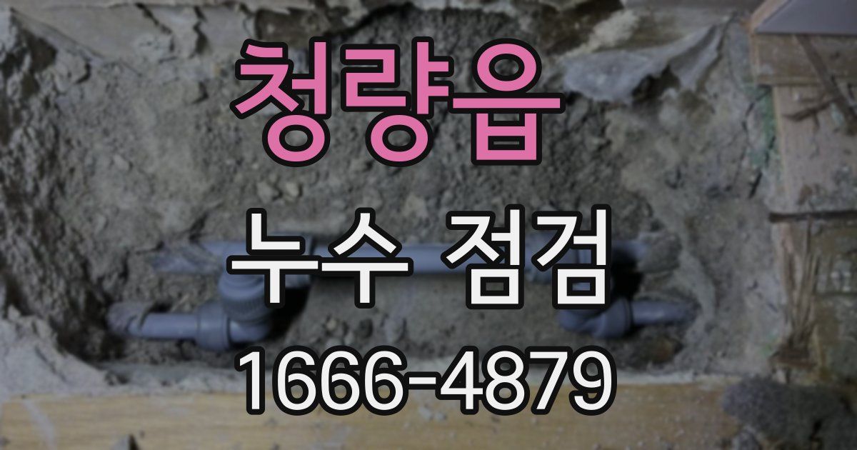 청량읍 누수 점검