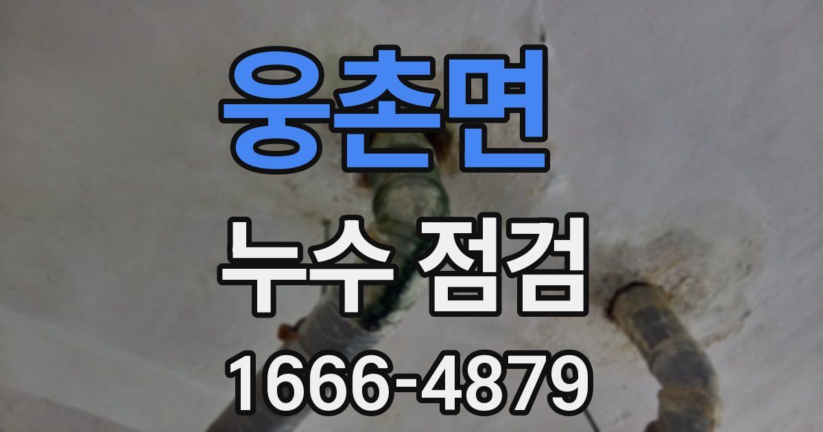 웅촌면 누수 점검