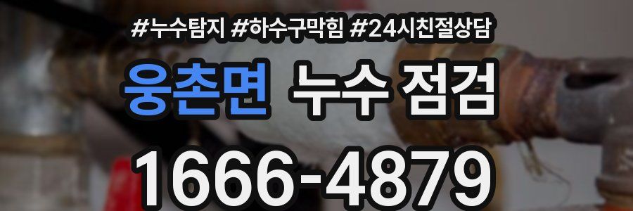 웅촌면 누수 점검