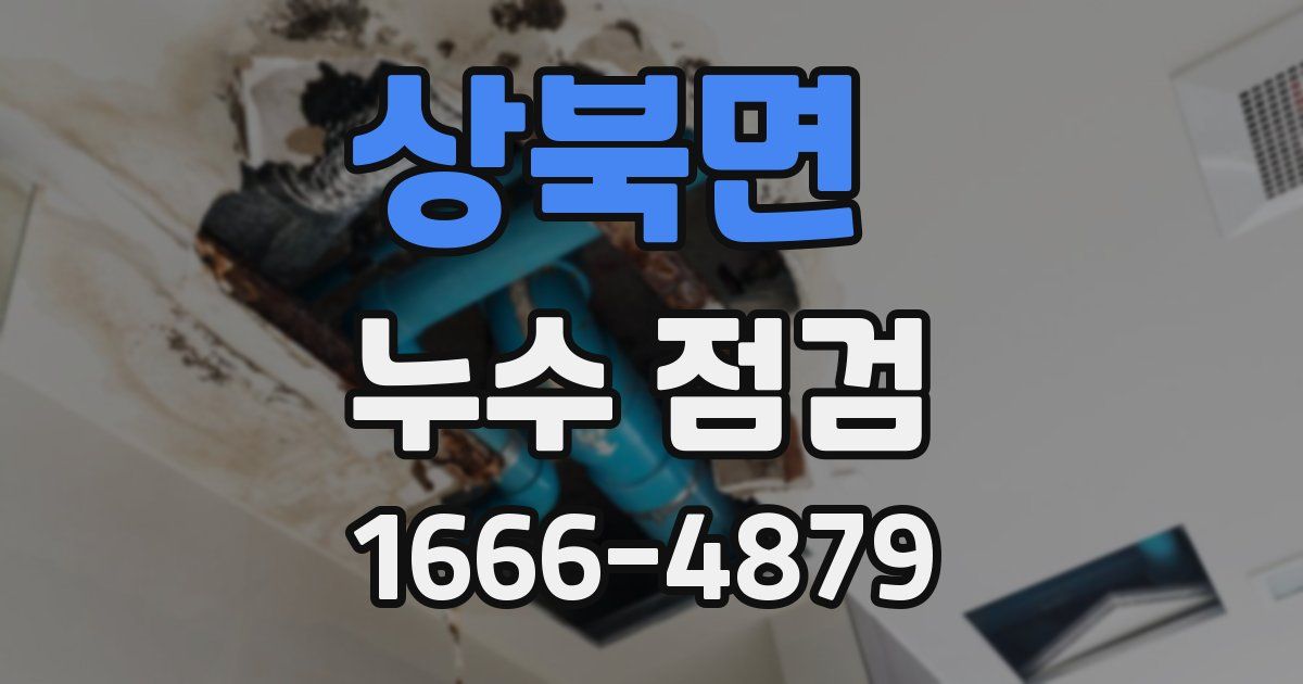 상북면 누수 점검