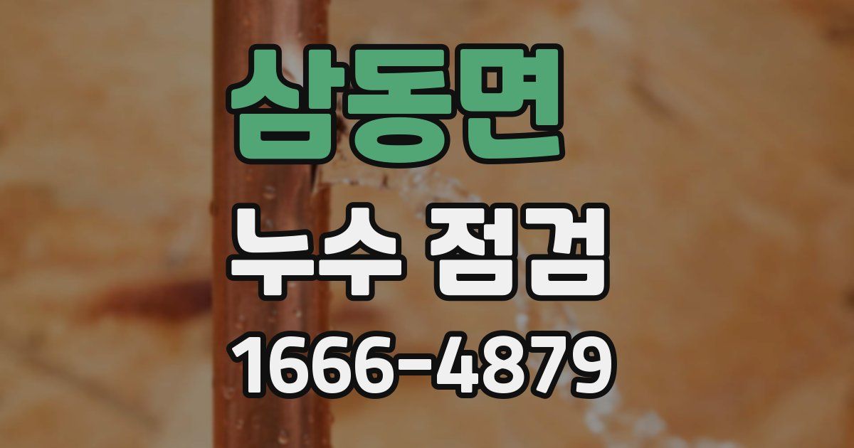 삼동면 누수 점검