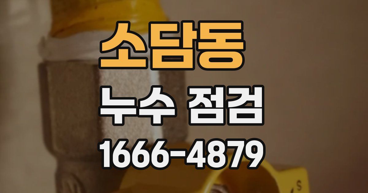 소담동 누수 점검