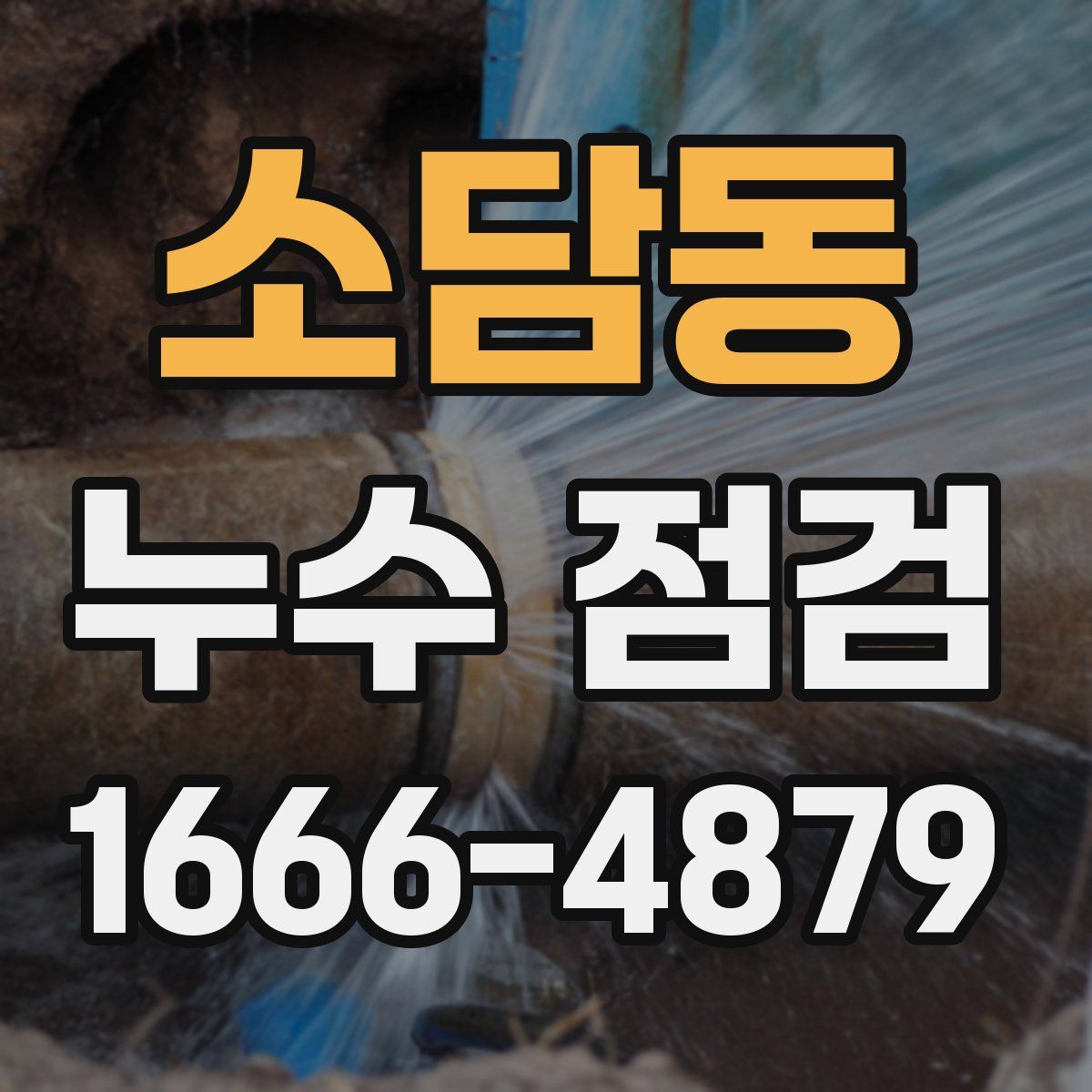 소담동 누수 점검