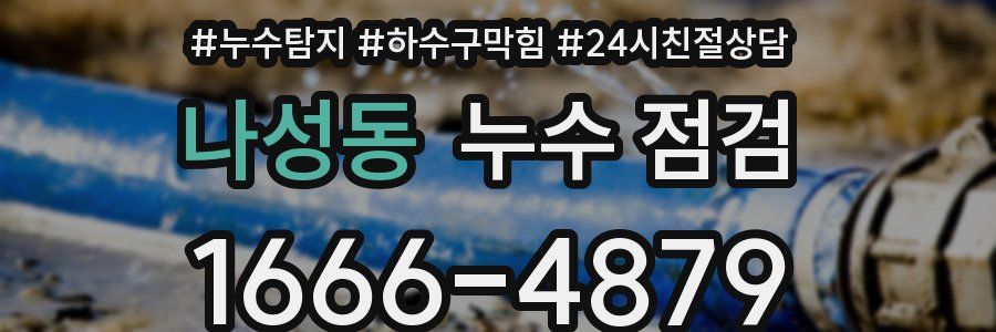 나성동 누수 점검