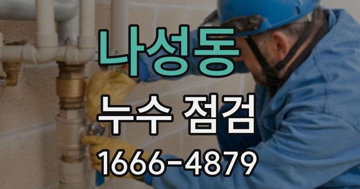 나성동 누수 점검