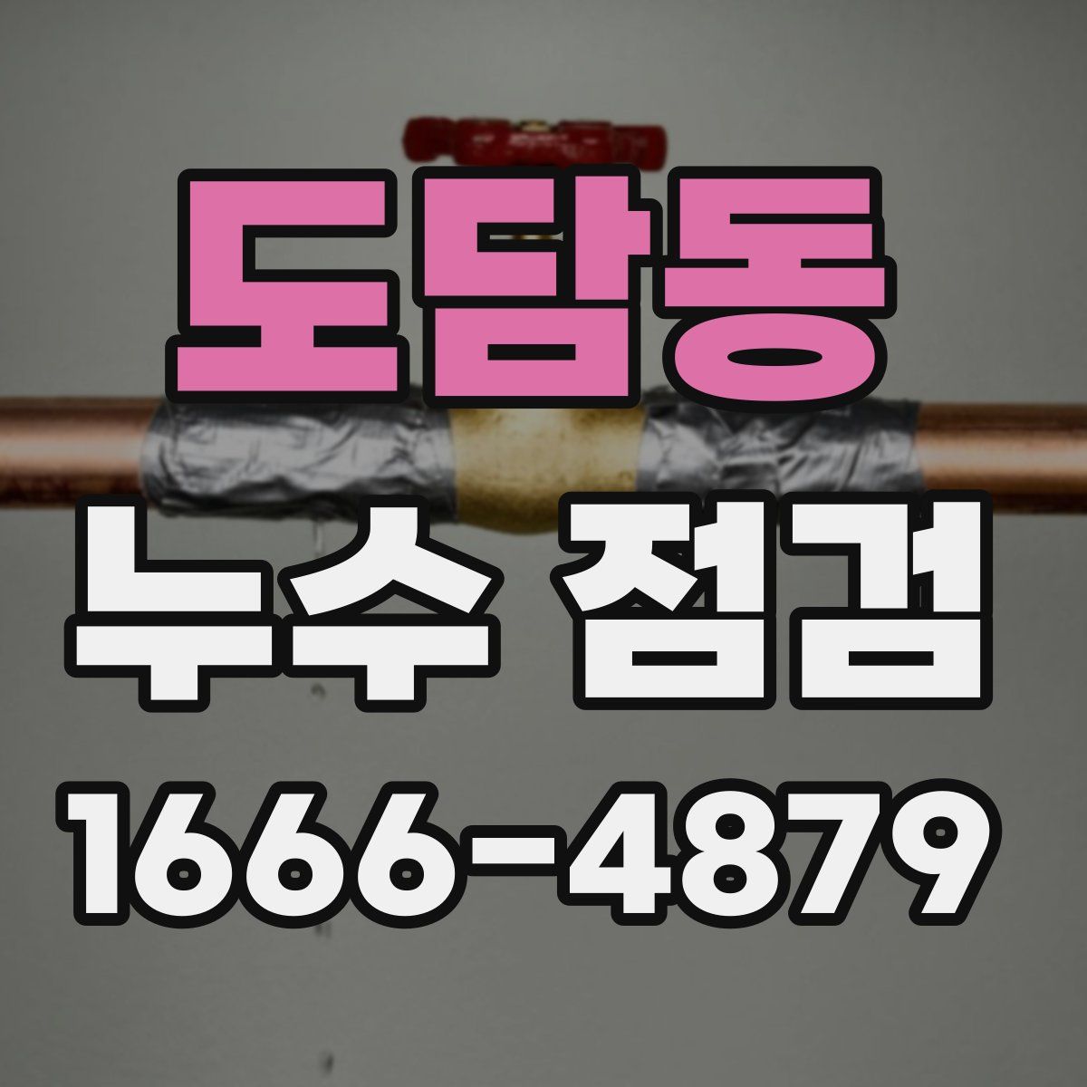 도담동 누수 점검
