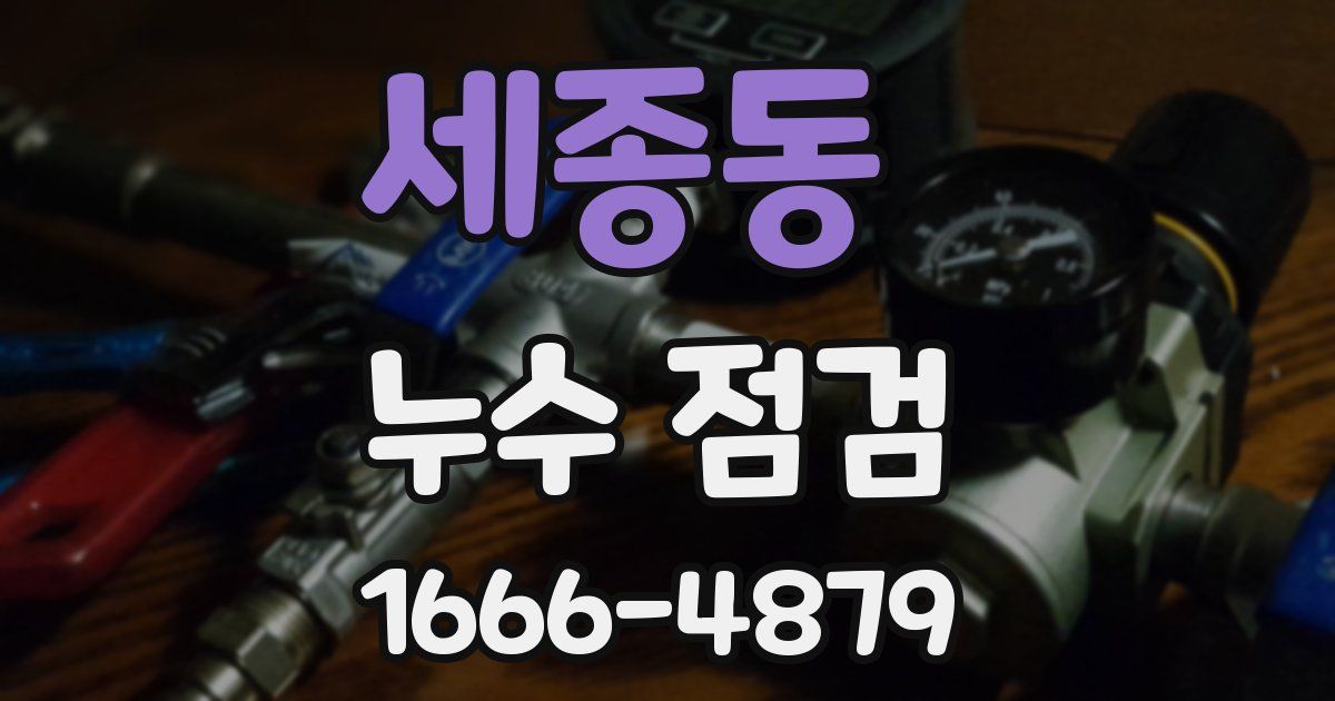 세종동 누수 점검