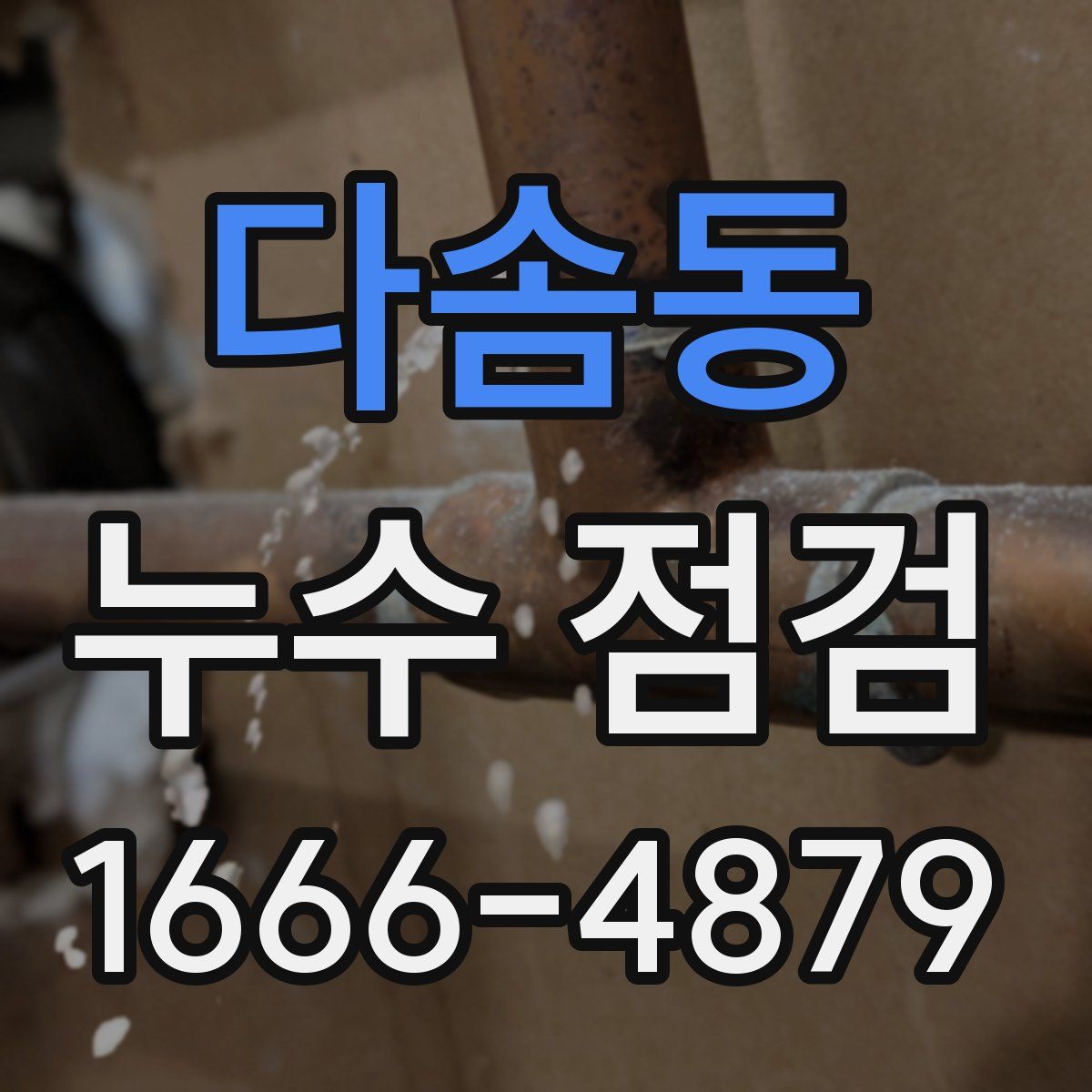 다솜동 누수 점검
