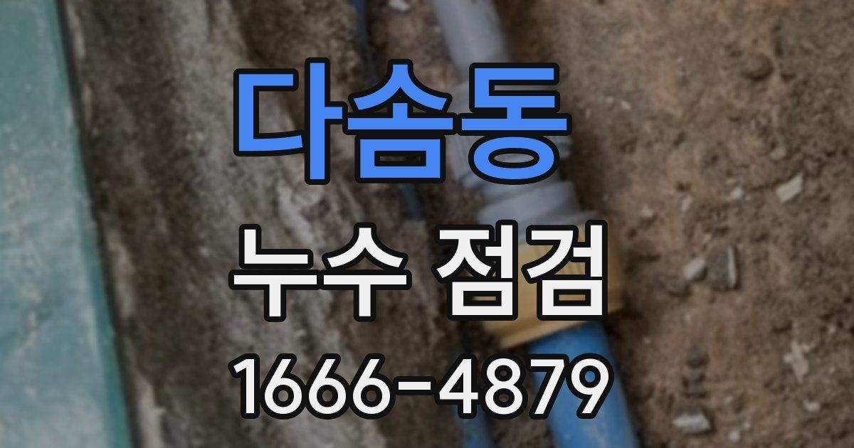 다솜동 누수 점검