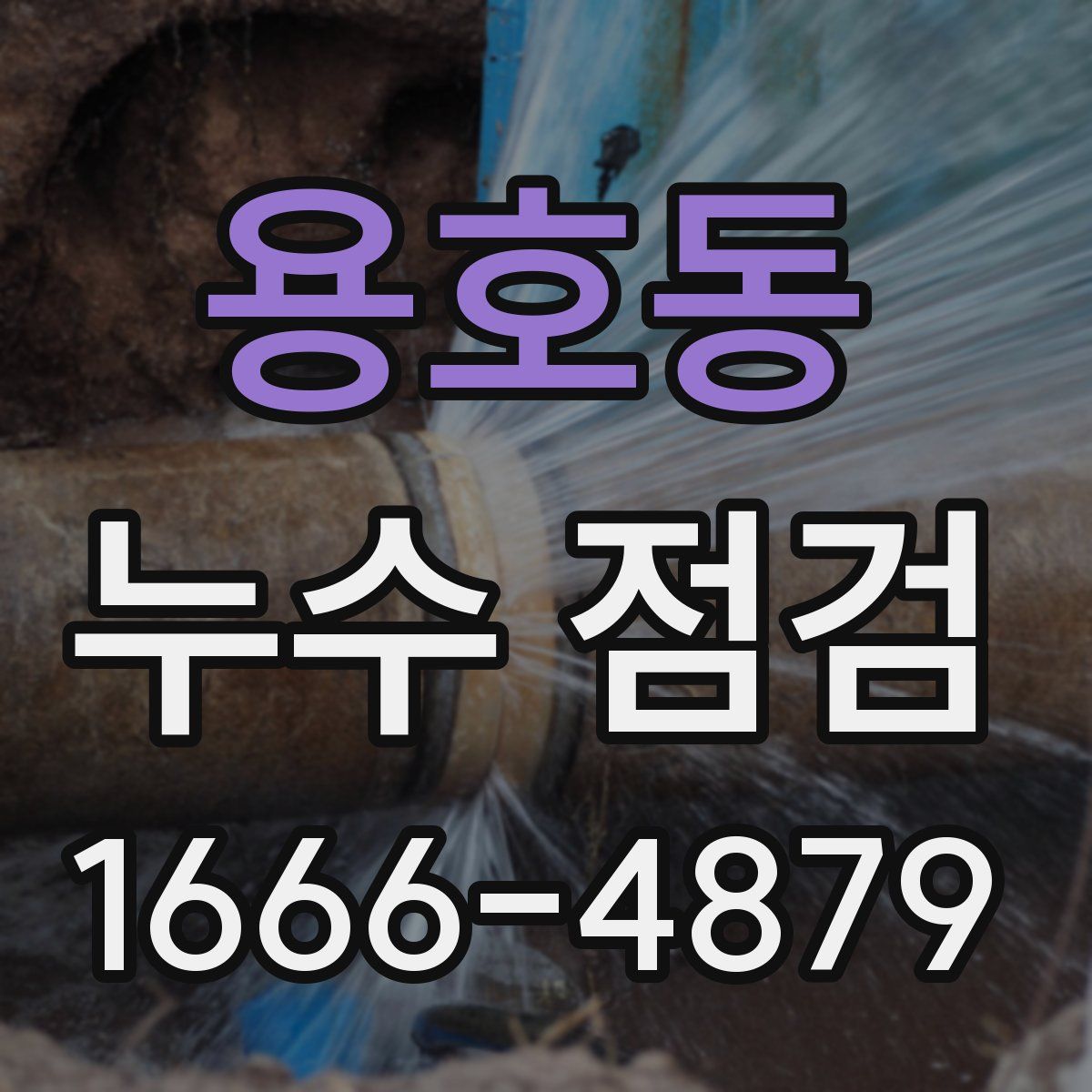 용호동 누수 점검