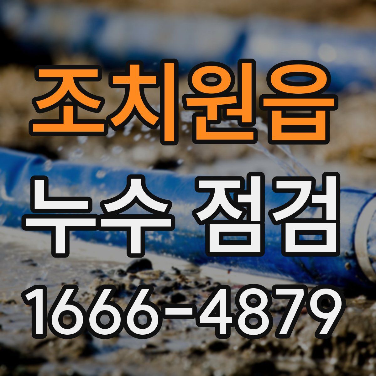 조치원읍 누수 점검