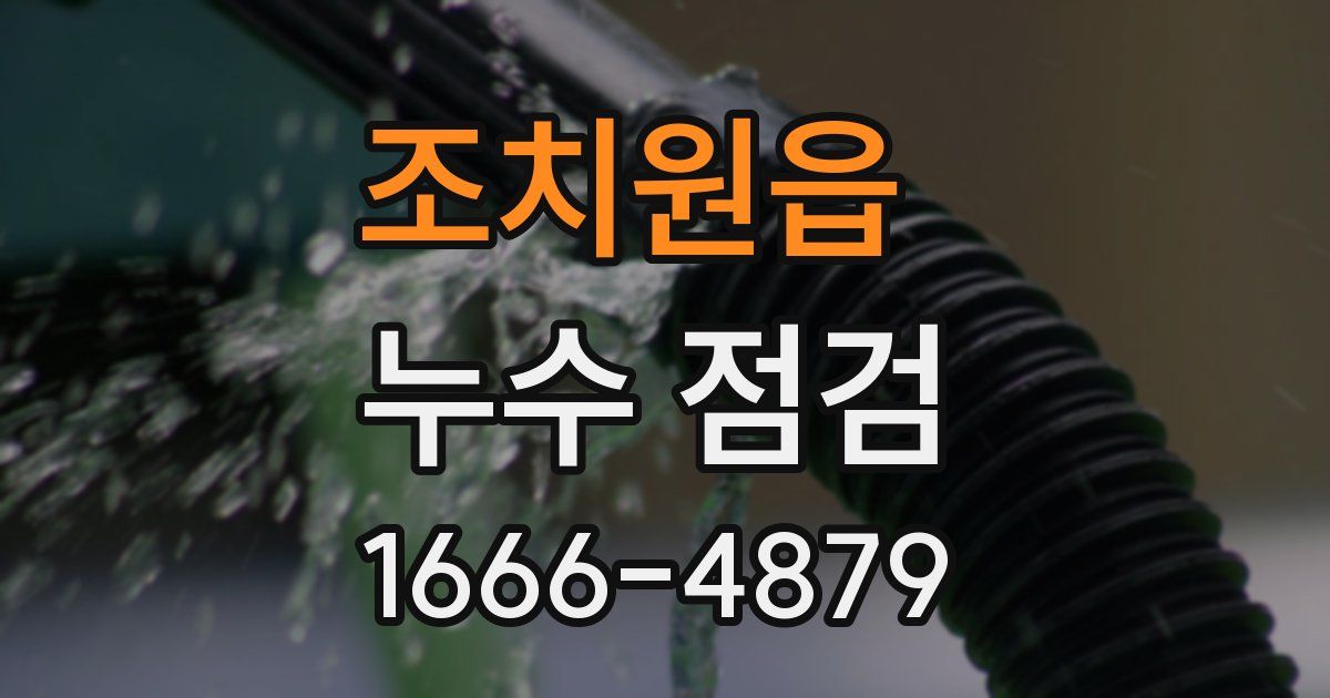 조치원읍 누수 점검