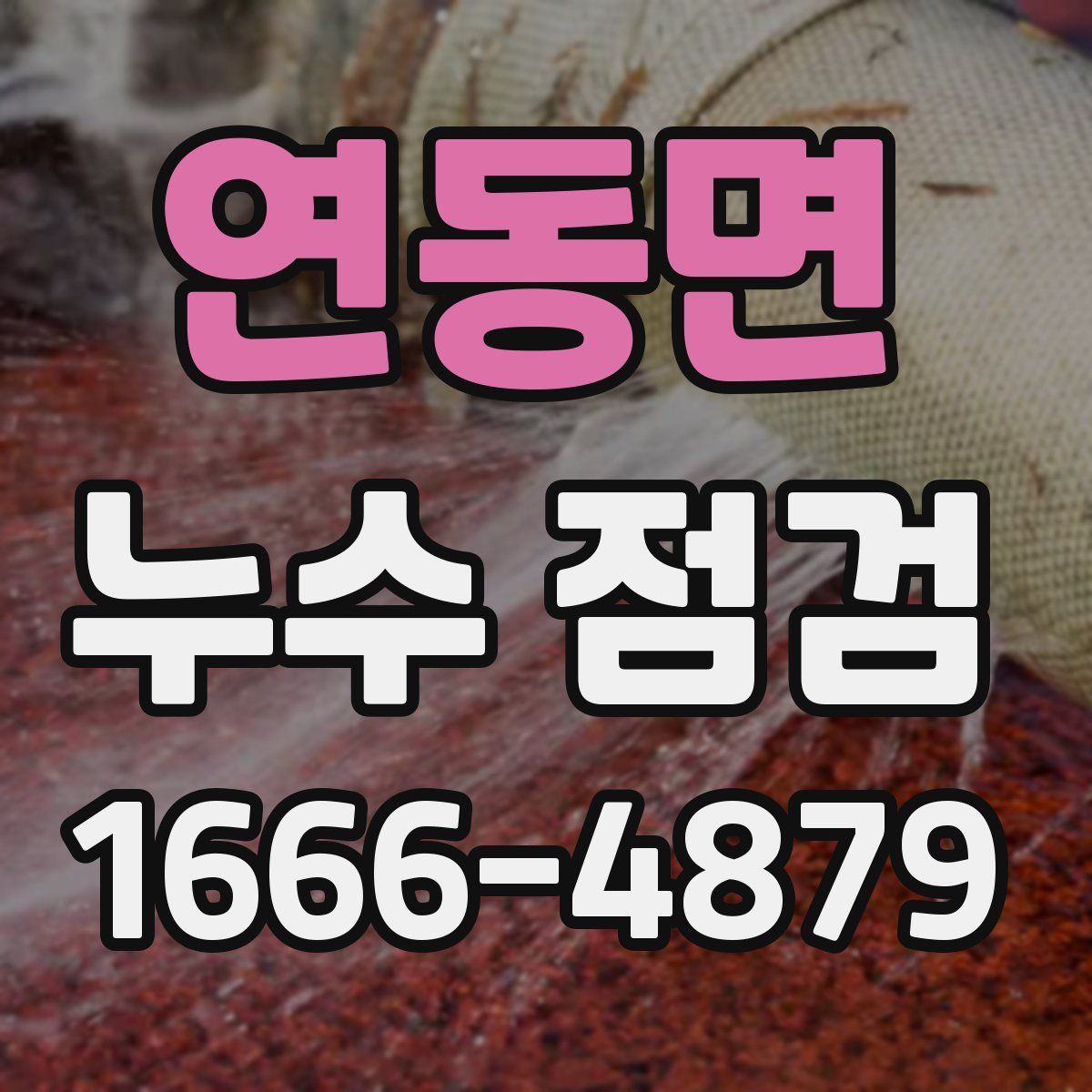 연동면 누수 점검
