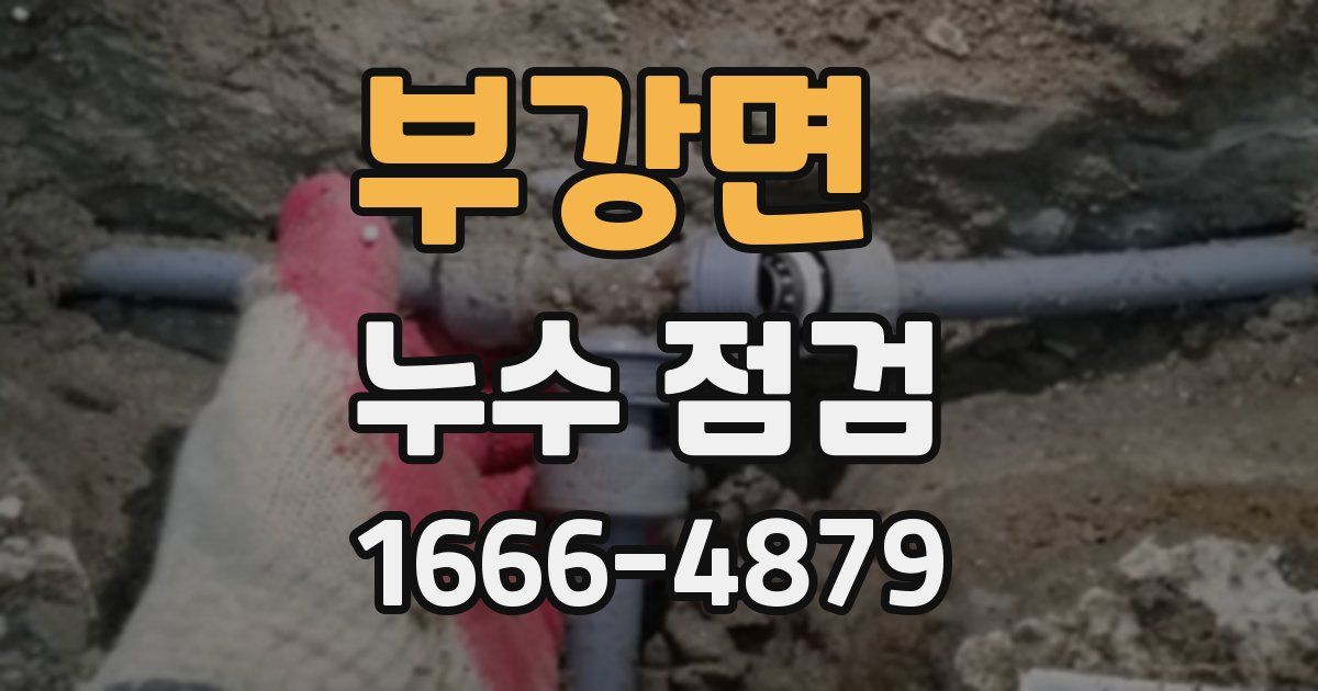 부강면 누수 점검