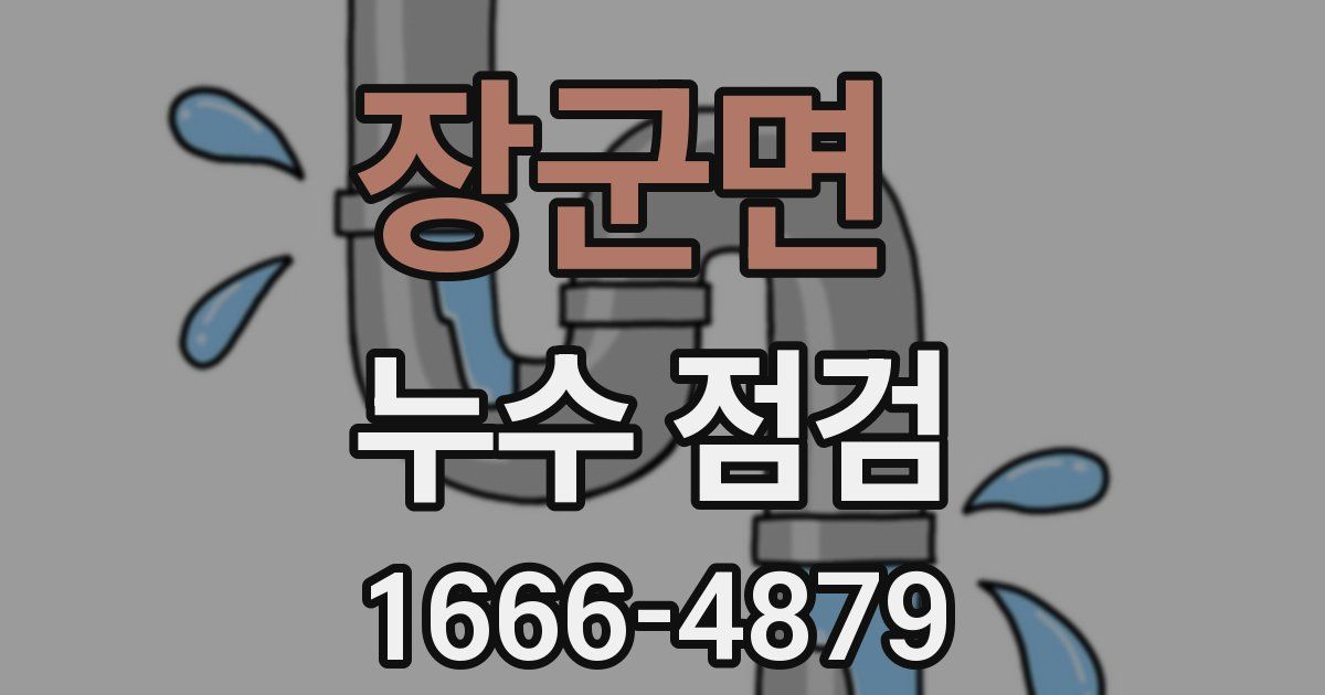 장군면 누수 점검
