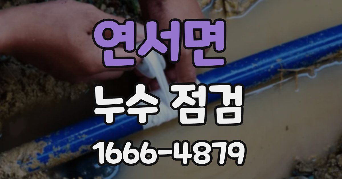 연서면 누수 점검