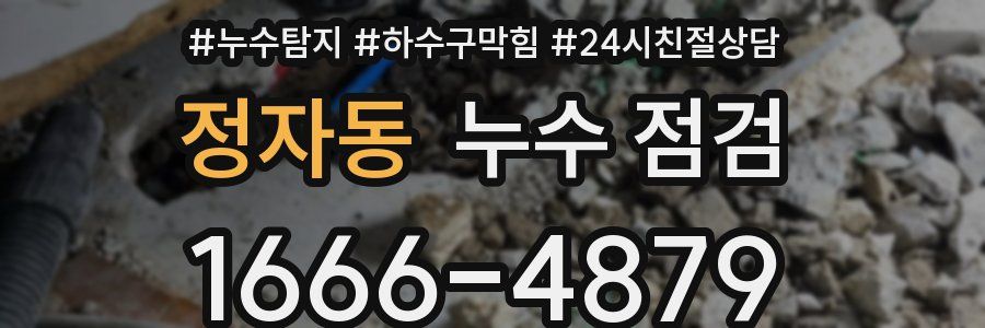 정자동 누수 점검