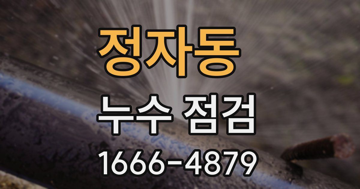 정자동 누수 점검