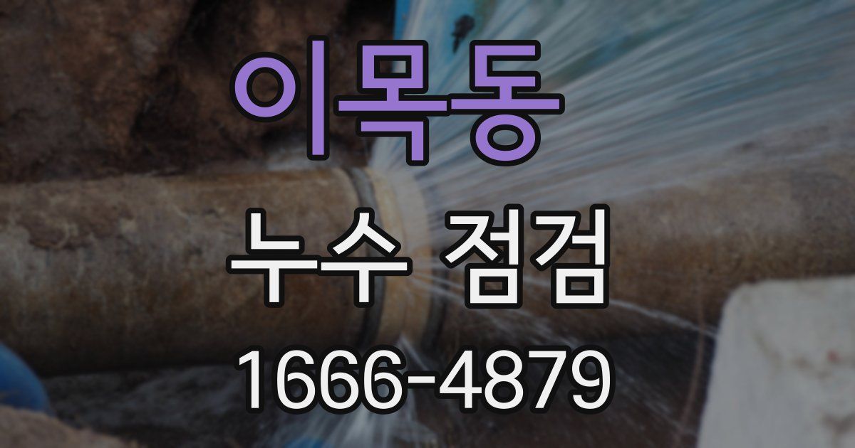 이목동 누수 점검