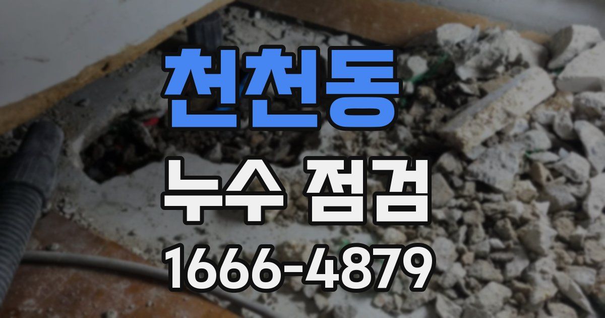천천동 누수 점검