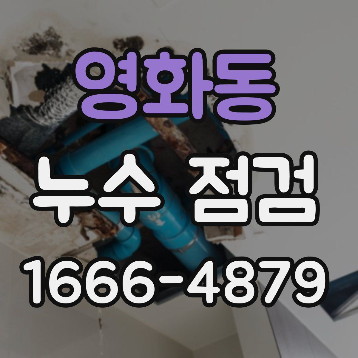 영화동 누수 점검